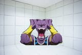 SCHIZOrus