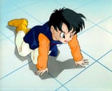 looking for gohan&#039;s bugs who escaped from the experiment room