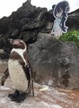 grpkun