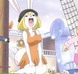 carrot