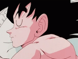 snoozeku