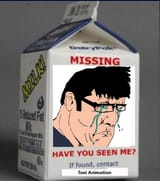 missing since February 28