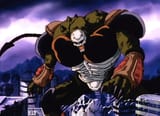 Hirudegarn_better
