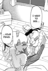 Rabbit