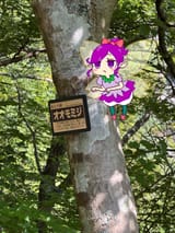 GuGpxaOakAE0i9q
