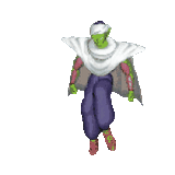 PICCOLO DANCE