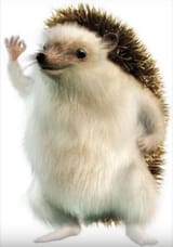 Yes