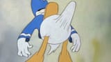 Donald boner1
