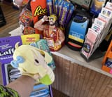 Snek Slap into a Lottery Ticket OH YEAH
