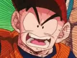 Krillin the watcher