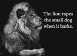 lion