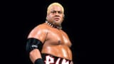 rikishi
