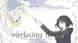 Everlasting flowers