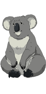 koala-3