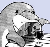 one piece - dolphin