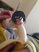 Ichigo&#039;s POV every night