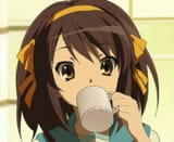 rxn_sip_haruhi