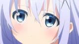 Chino(490)