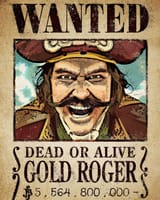 GOL D. ROGER