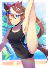 __tokai_teio_umamusume_drawn_by_kou_hiyoyo__bf735708d7db37a642fad230f05b50e0