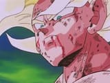 Goku dislikes you
