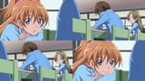 20043021535950