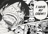 luffy has his crew