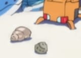 conches