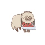 tomato tanuki