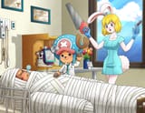 nurse carrot dr. chopper