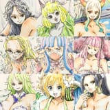 Robin, Carrot, Yamato, Kalifa, Ulti, Perona, Monet, Koala and Hancock 