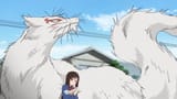 bocchi&#039;s book of friends