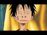 dumb luffy