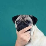 3098