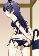 Nekobutt 1