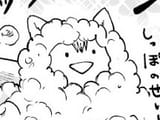 awoo bath