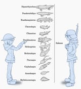GirlsLastFish