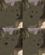 loss