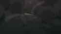1712459333574813_thumb.jpg