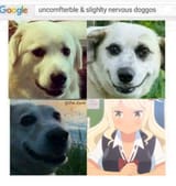 247280467892
