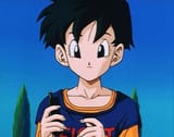 Videl