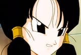Videl2