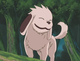 Akamaru_p1