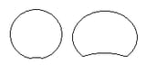 1730013365155783