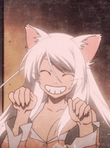 hanekawacat