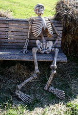 1739847831788727