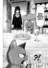 witchandblackcat_opt