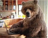 2025-02-02 11_46_17-Bear65&#039;s Blog_ Image