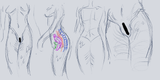 mermaid crotch pocket