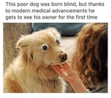 1730035013771356
